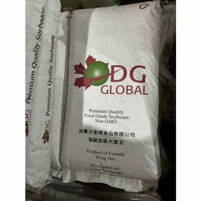 黃豆照片.jpg